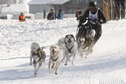 Lenk 2012 SM